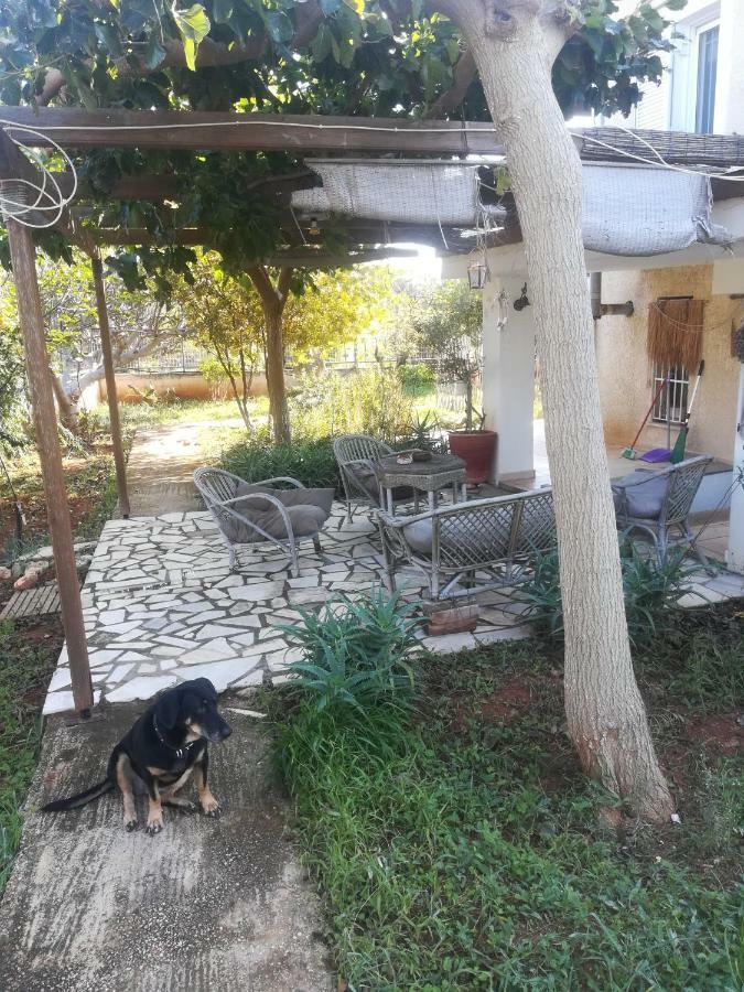 Country Rooms Near Athens - Airport Vravrona Exterior photo